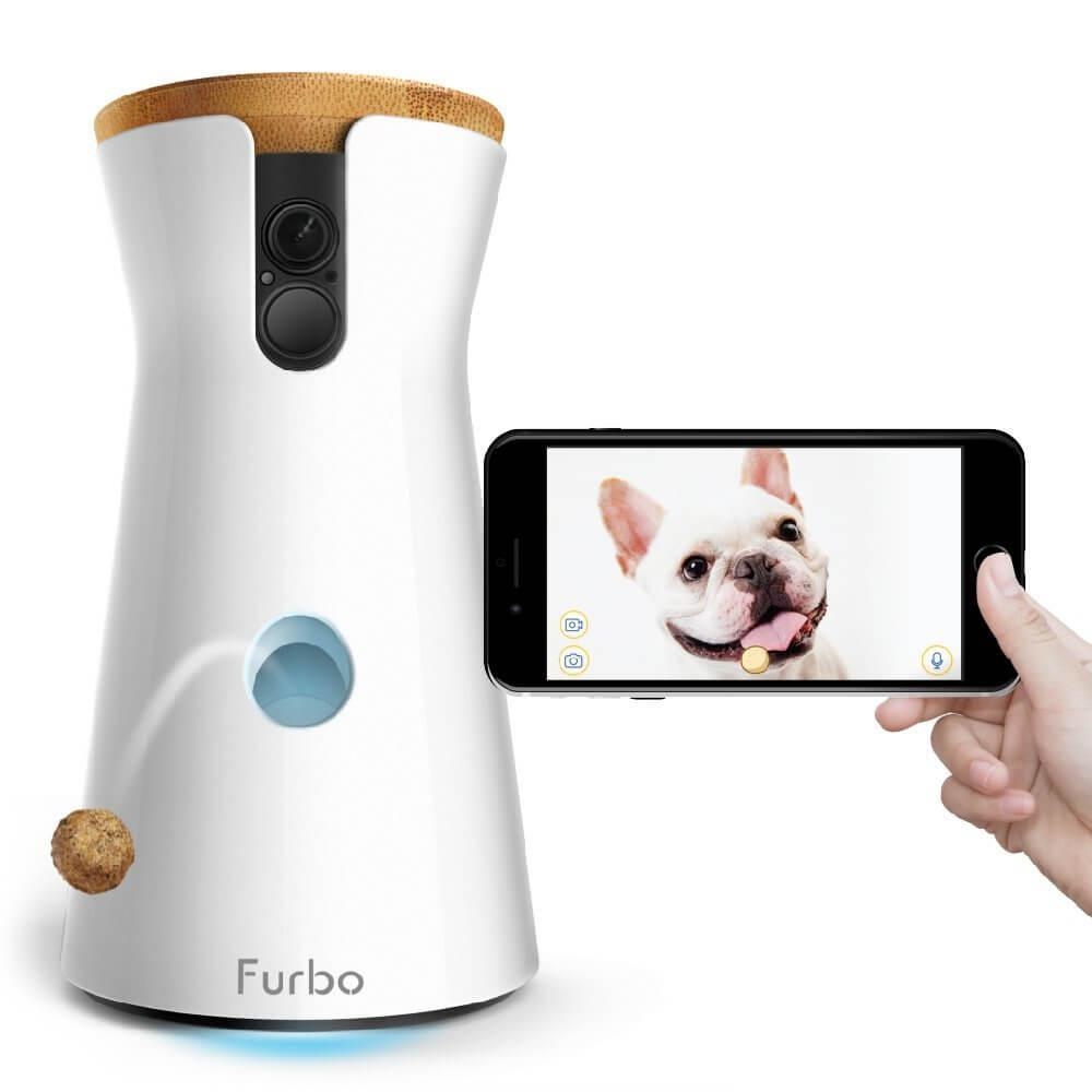 Furbo Dogs At Home Furbo Dogs At Home