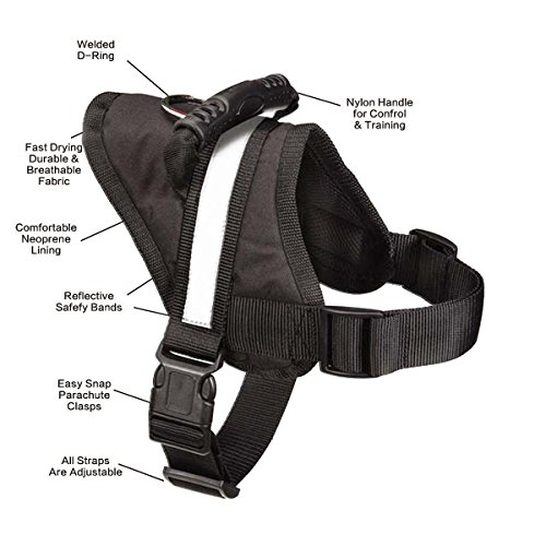 Expawlorer Big Dog Soft Reflective No Pull Harness Expawlorer Big Dog Soft Reflective No Pull Harness